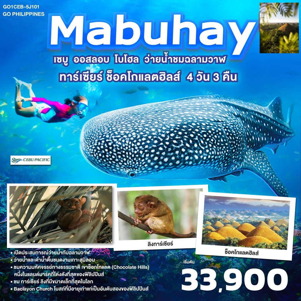 ทัวร์ฟิลิปปินส์ GO Philippines Mabuhay เซบู ออสลอบ โบโฮล ว่ายน้ำกับฉลามวาฬ ชมทาร์เซียร์ ช็อคโกแลตฮิลส์ 4วัน 3คืน (5J)