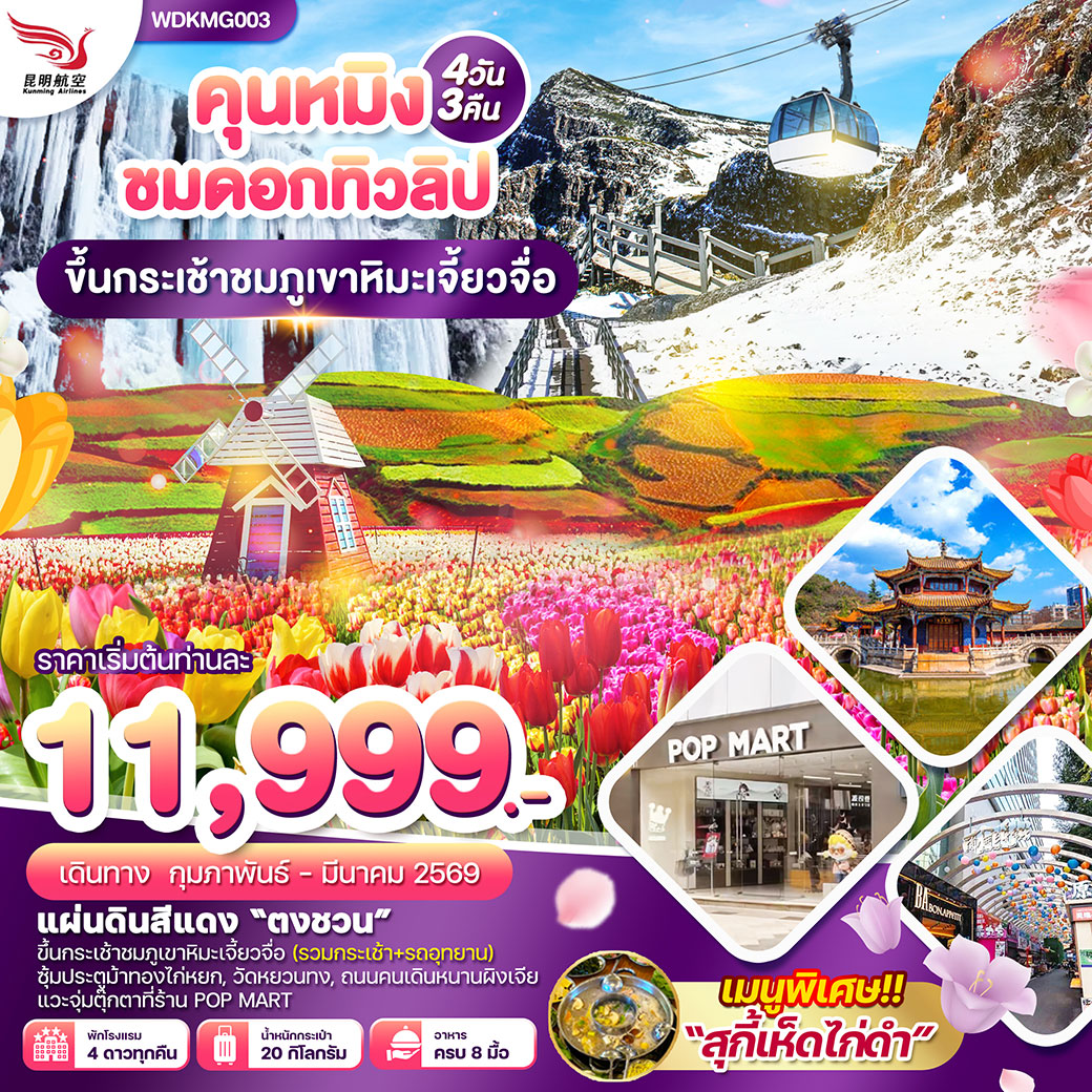 ทัวร์จีน คุนหมิง ชมดอกทิวลิป ขึ้นกระเช้าชมภูเขาหิมะเจี้ยวจื่อ 4วัน 3คืน (KY)